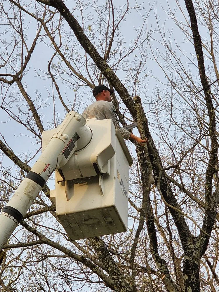 Slide of Patriot Tree Experts