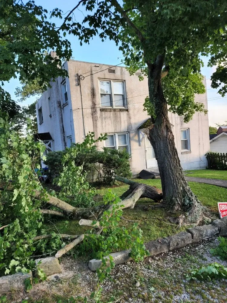 Slide of Patriot Tree Experts