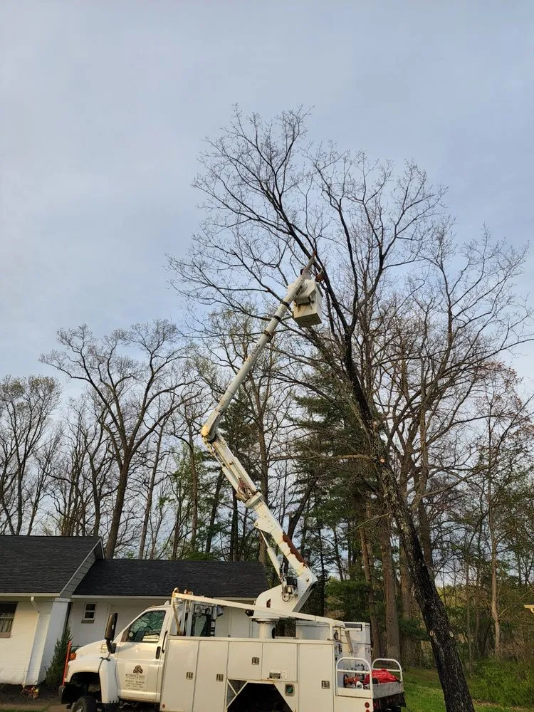 Slide of Patriot Tree Experts