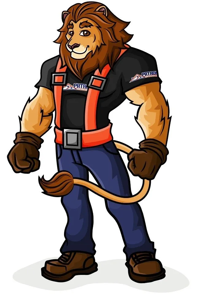 Slide of Patron Construction