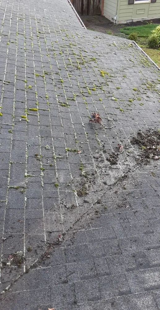 Slide of Paul Exterior Experts