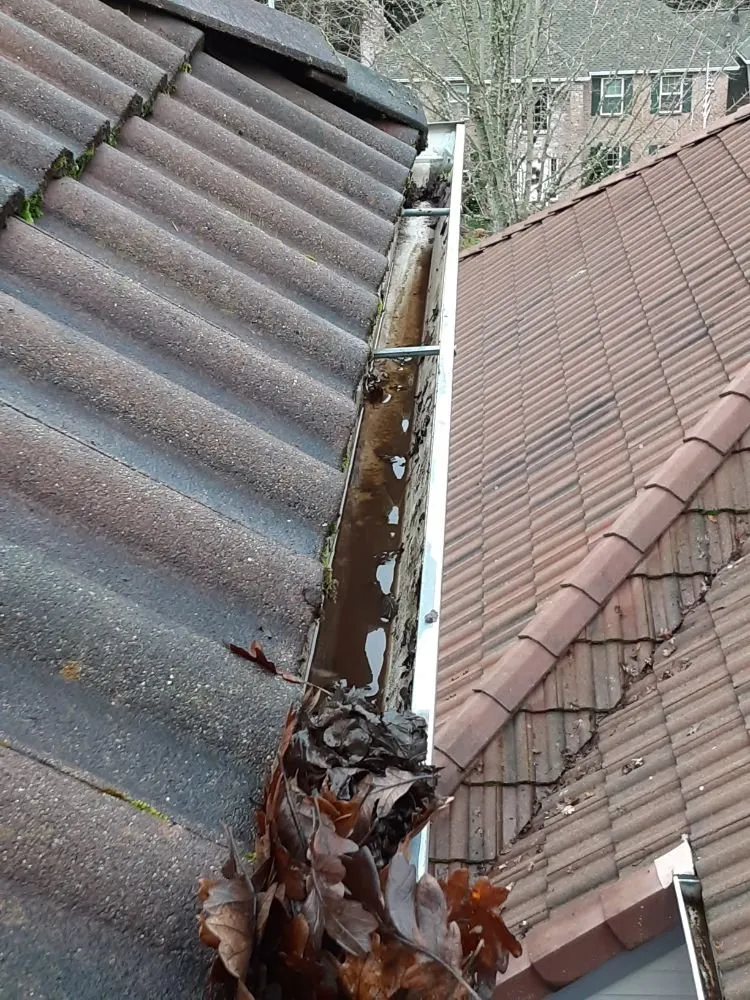 Slide of Paul Exterior Experts