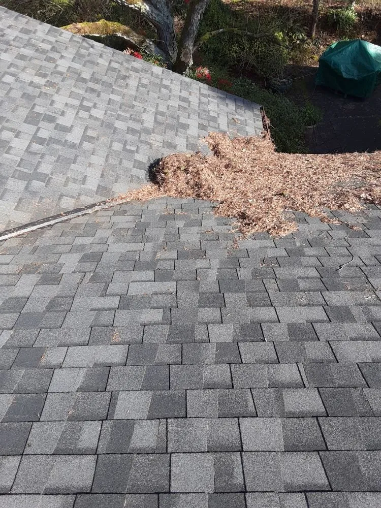 Slide of Paul Exterior Experts