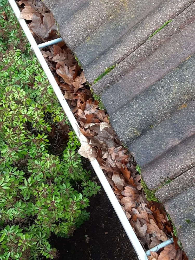 Slide of Paul Exterior Experts