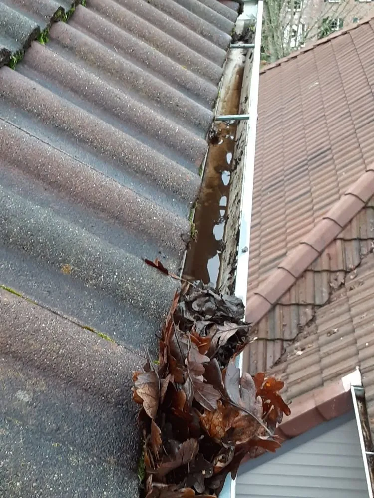 Slide of Paul Exterior Experts