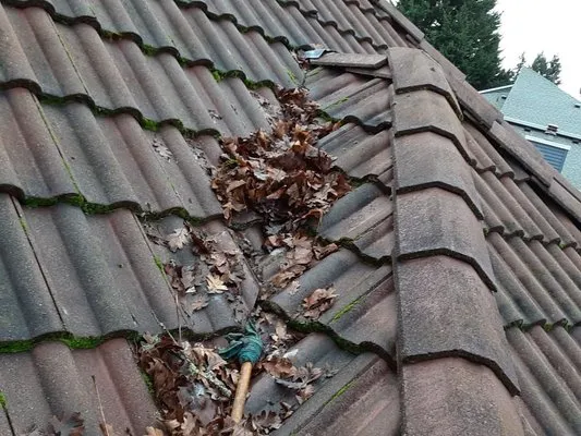 Paul Exterior Experts