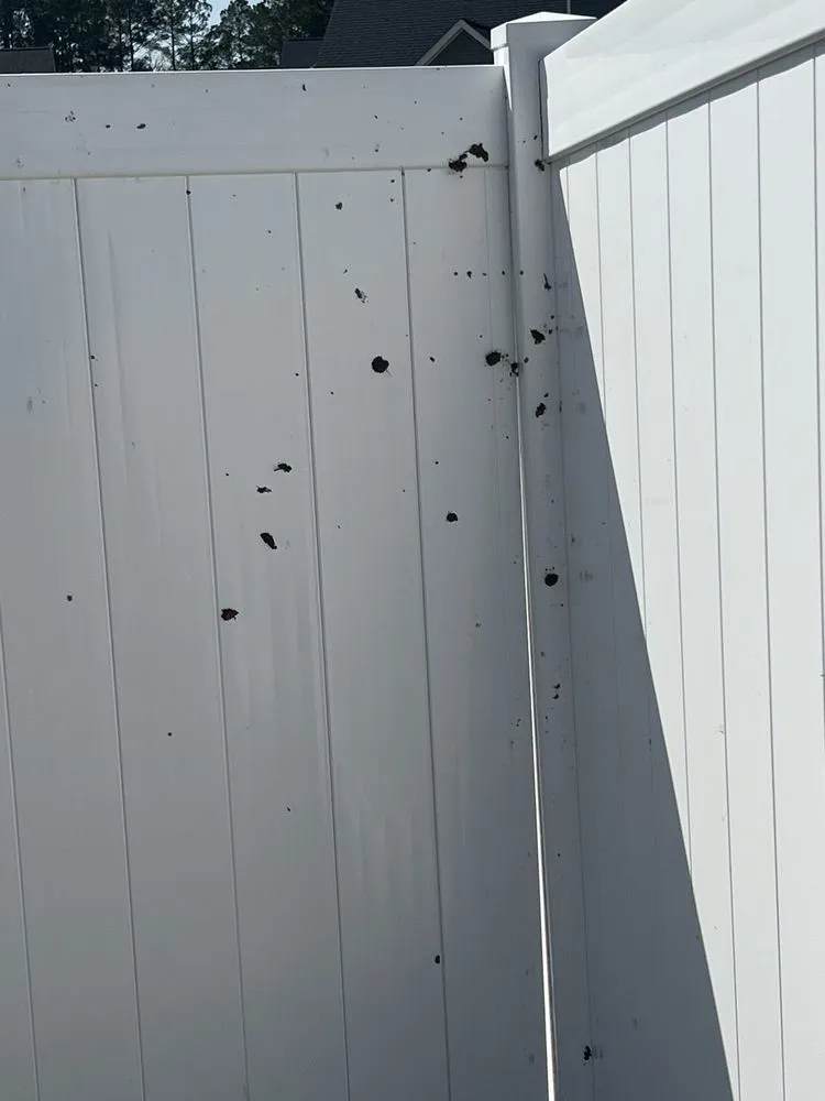 Slide of Paul Stallings