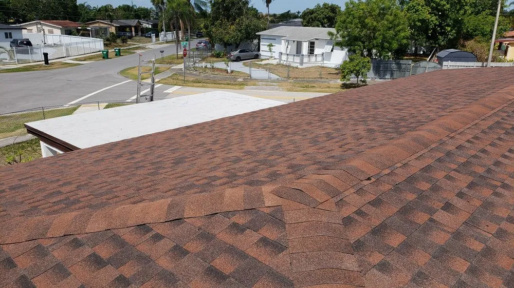 Slide of Paula Roofing