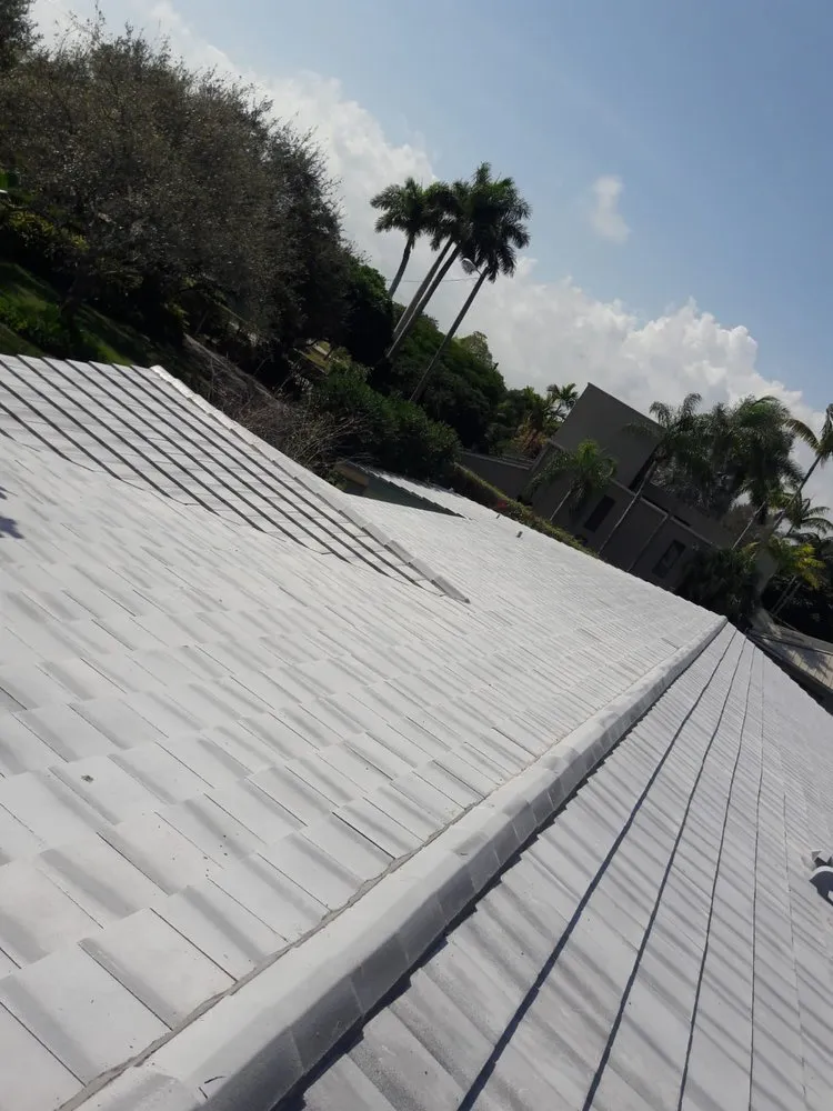 Slide of Paula Roofing