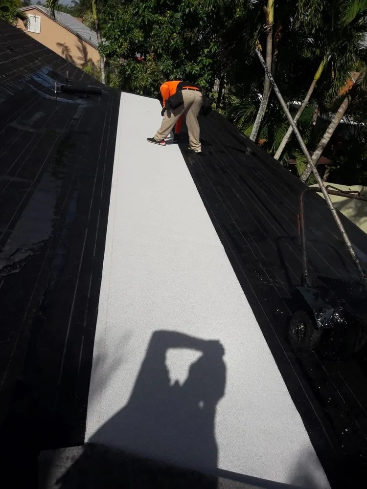 Slide of Paula Roofing