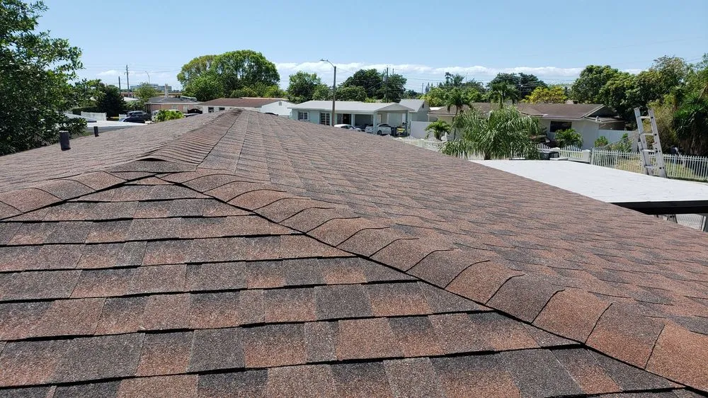 Slide of Paula Roofing