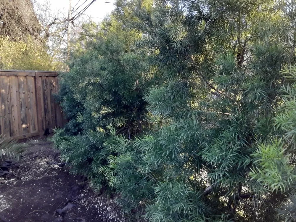 Slide of Pauls Concrete and Landscaping