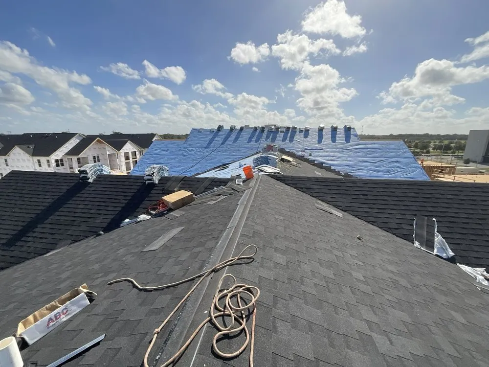 Slide of Paws and Build Construction