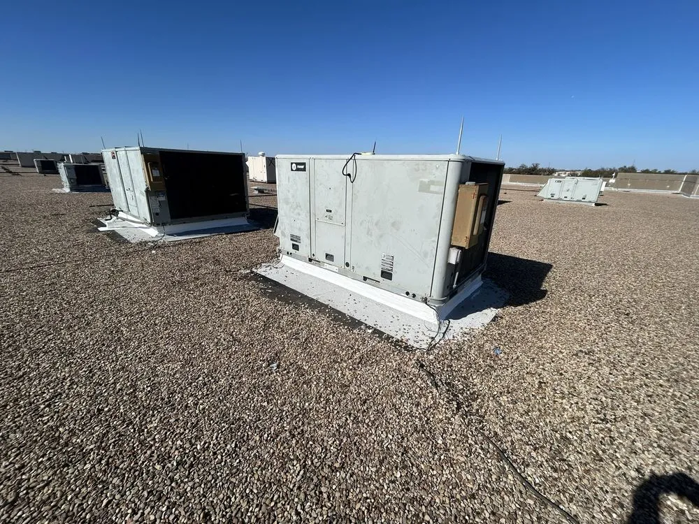 Slide of Paws and Build Construction