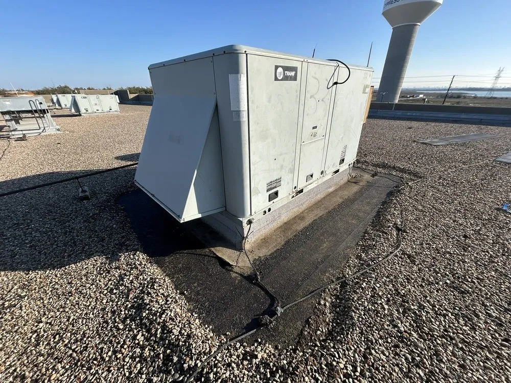 Slide of Paws and Build Construction