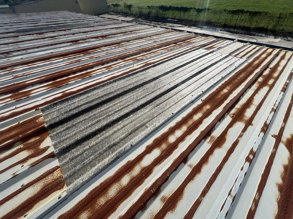 Slide of Paws and Build Construction