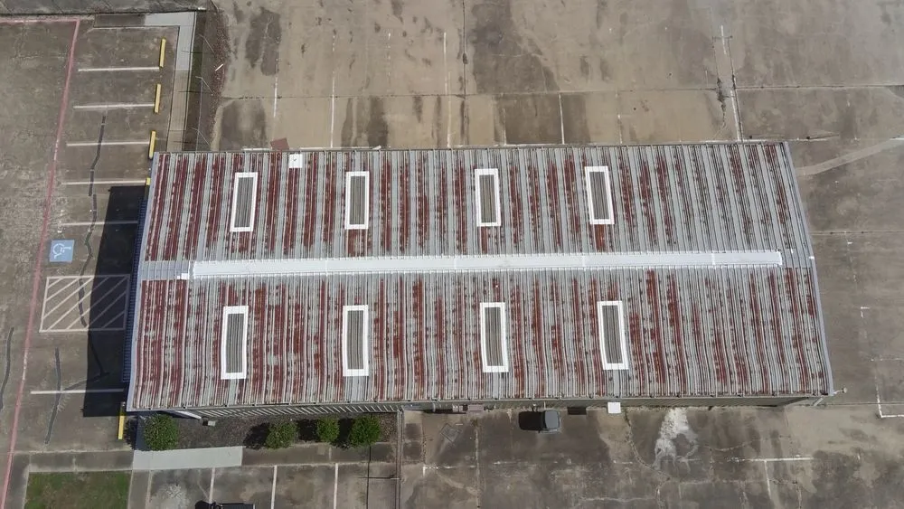 Slide of Paws and Build Construction