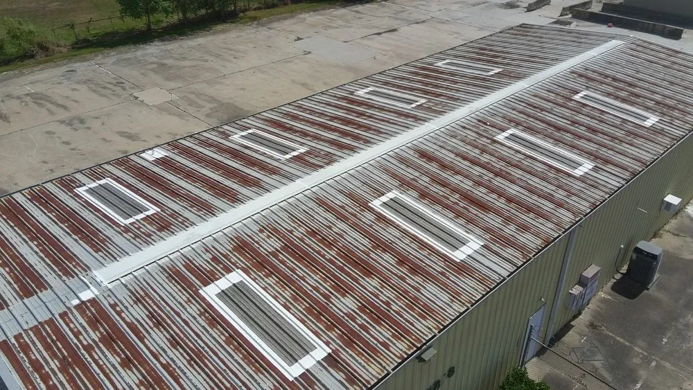 Slide of Paws and Build Construction