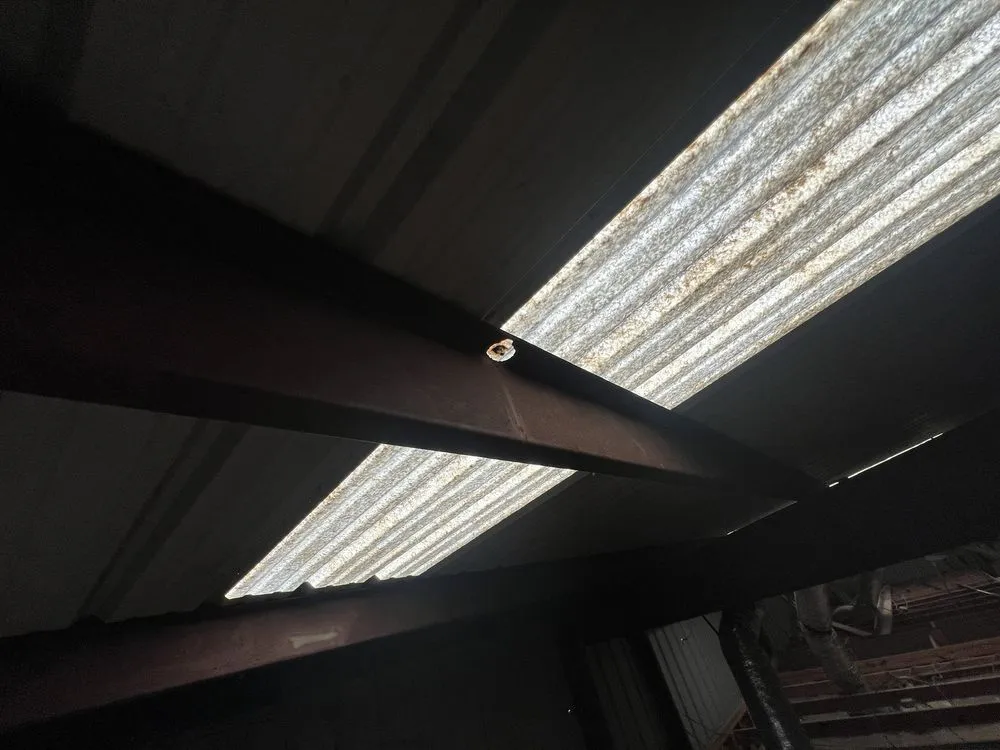 Slide of Paws and Build Construction