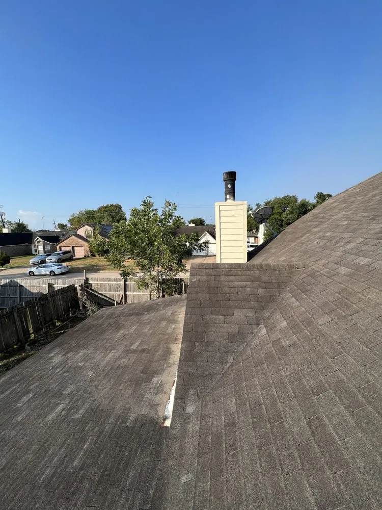 Slide of Paws and Build Construction