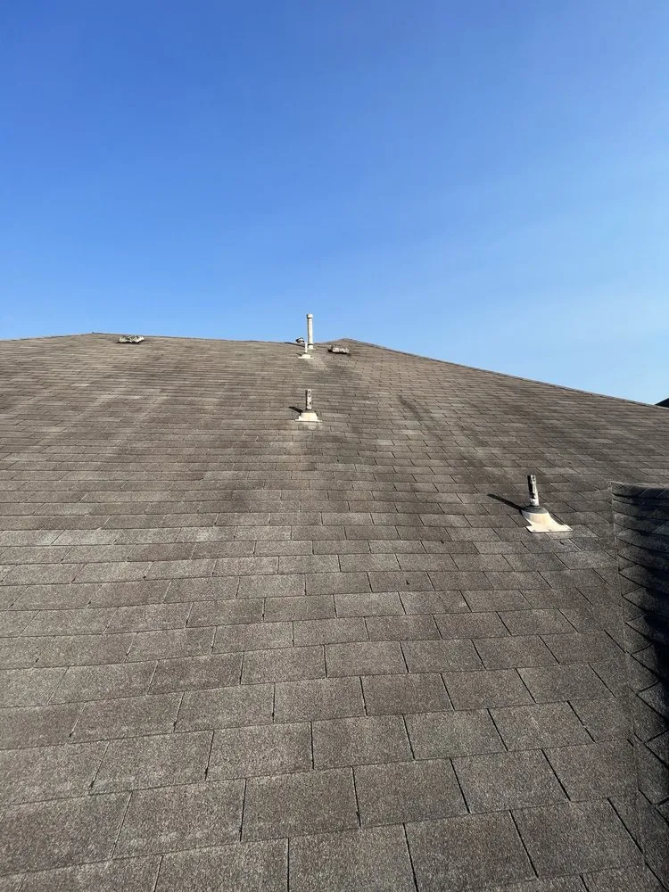 Slide of Paws and Build Construction