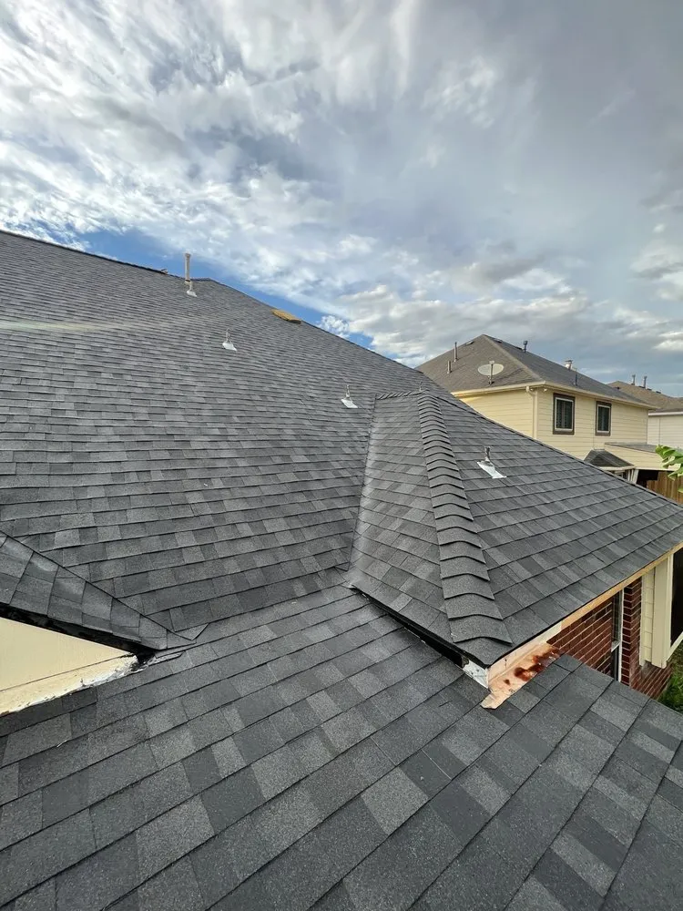 Slide of Paws and Build Construction