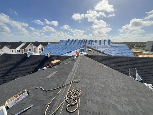 Paws and Build Construction Logo