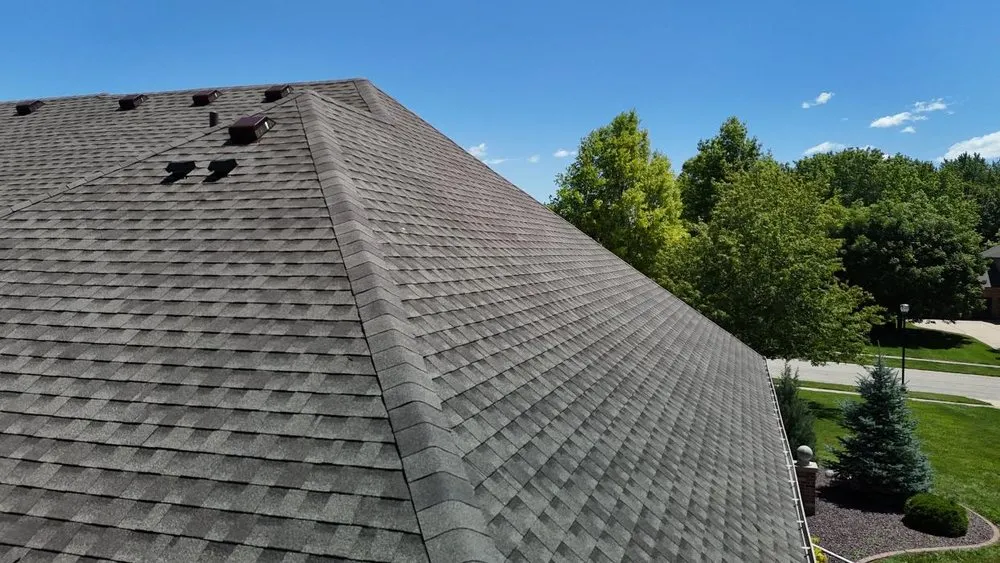 Slide of Paws Roofing Contractors