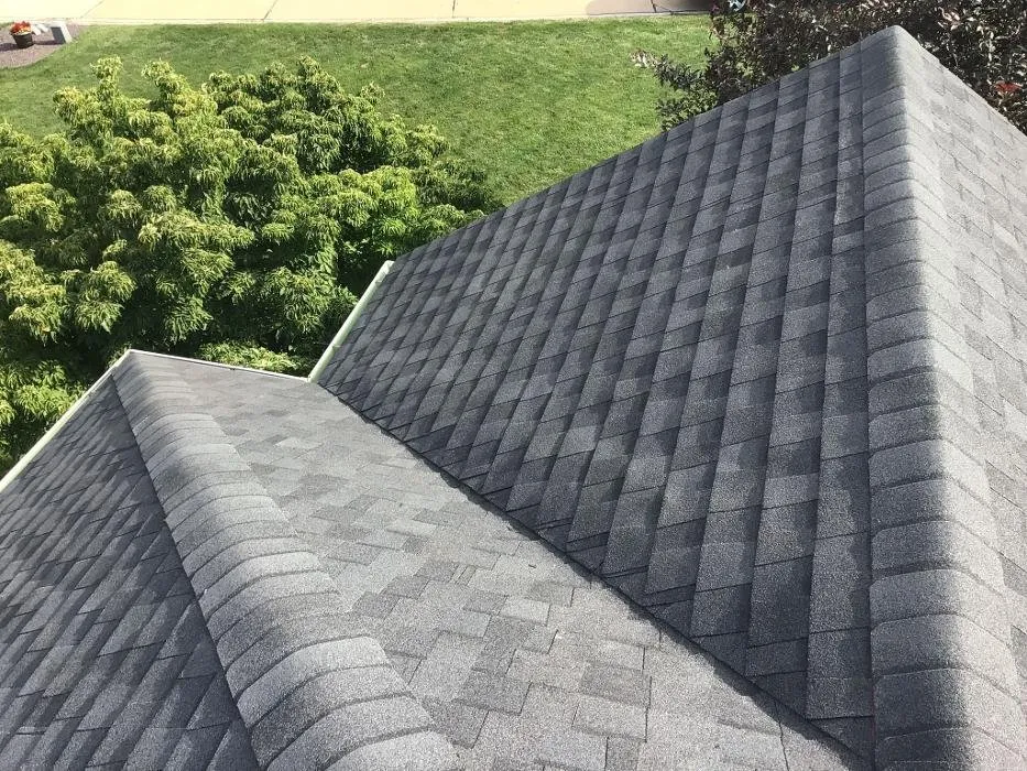 Slide of Paws Roofing Contractors