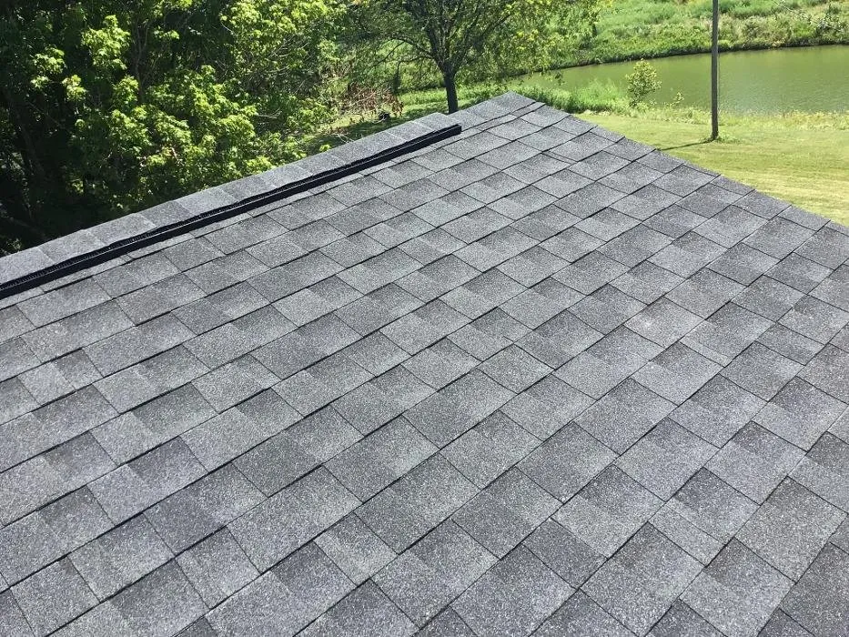 Slide of Paws Roofing Contractors