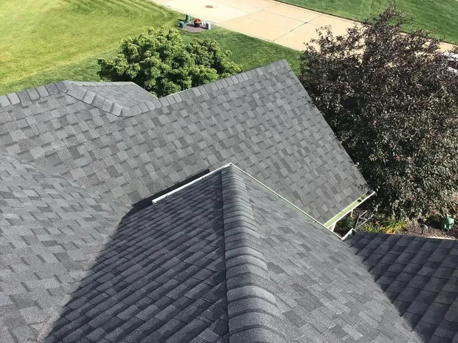 Slide of Paws Roofing Contractors