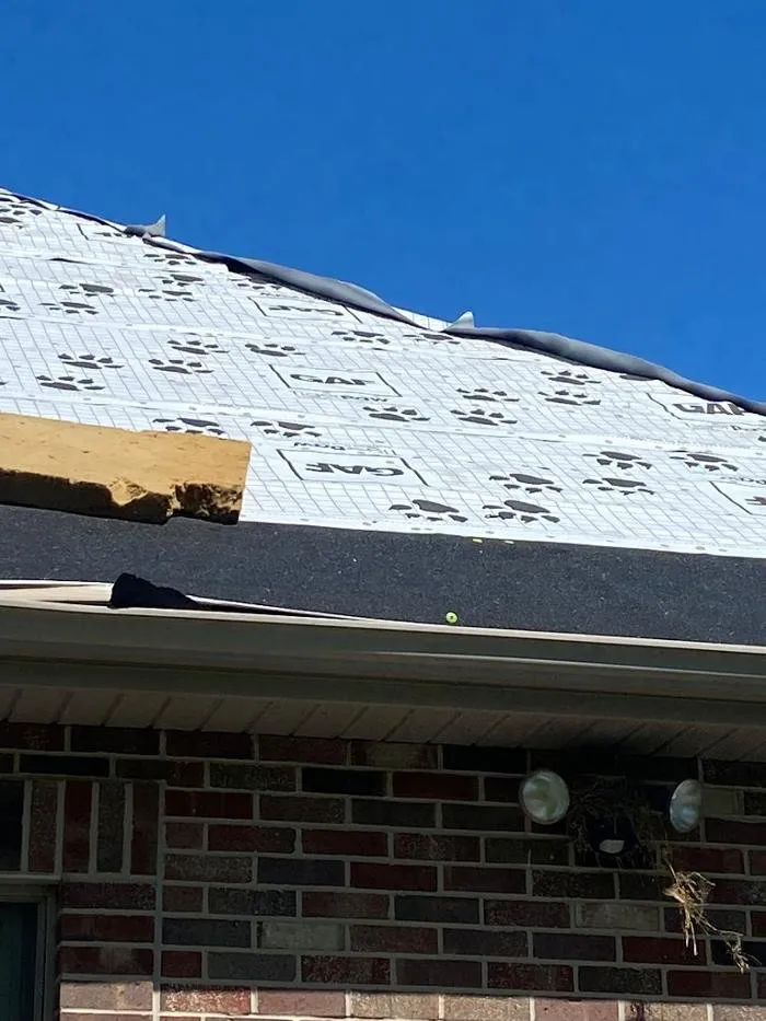 Slide of Paws Roofing Contractors