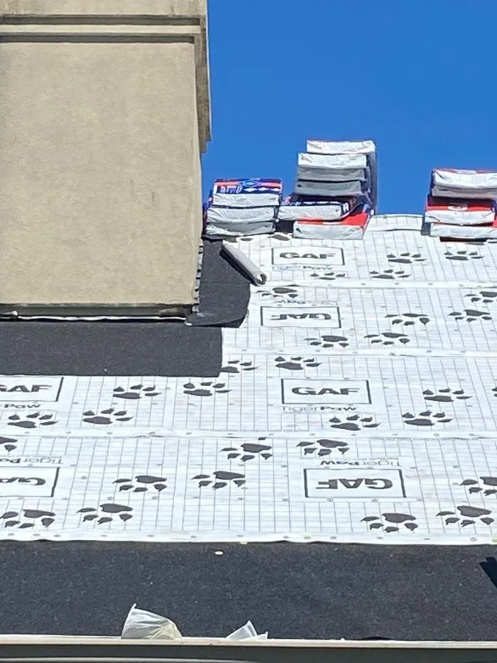 Slide of Paws Roofing Contractors