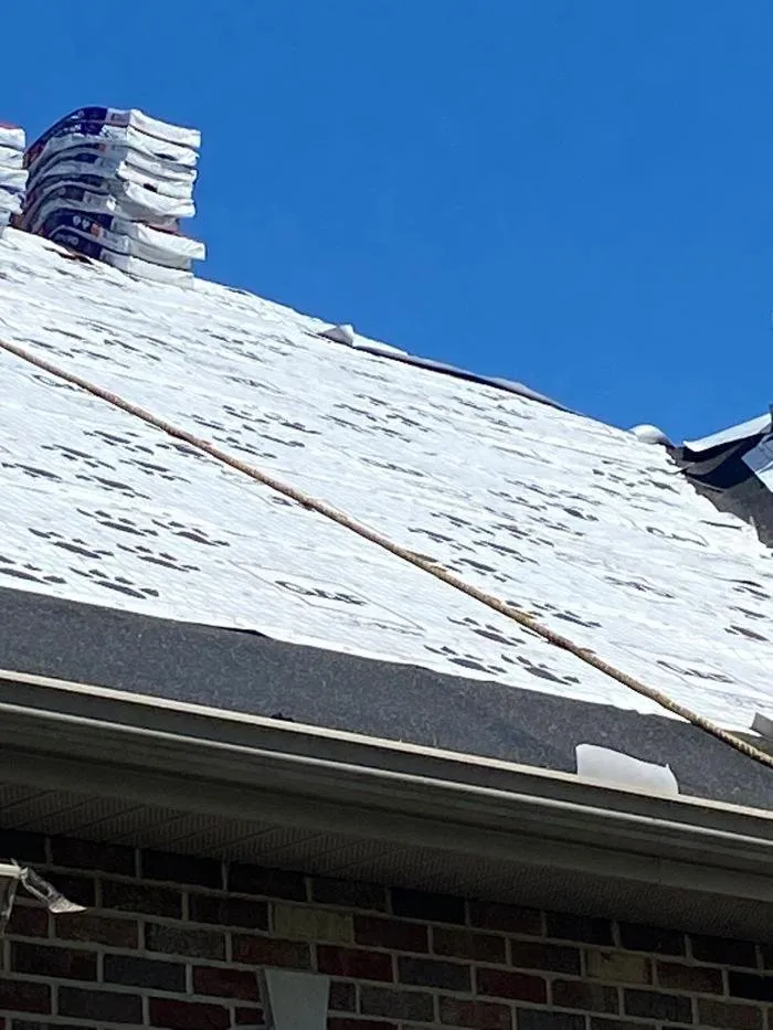 Slide of Paws Roofing Contractors