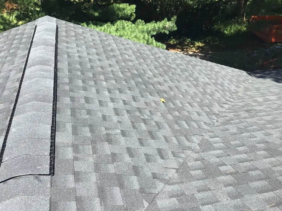 Slide of Paws Roofing Contractors