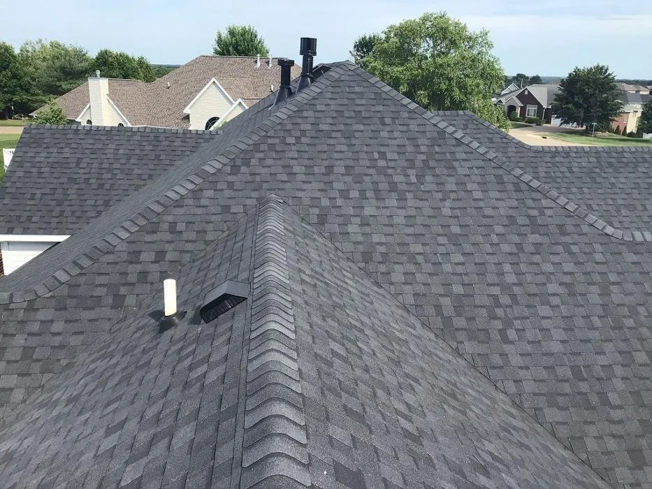 Slide of Paws Roofing Contractors