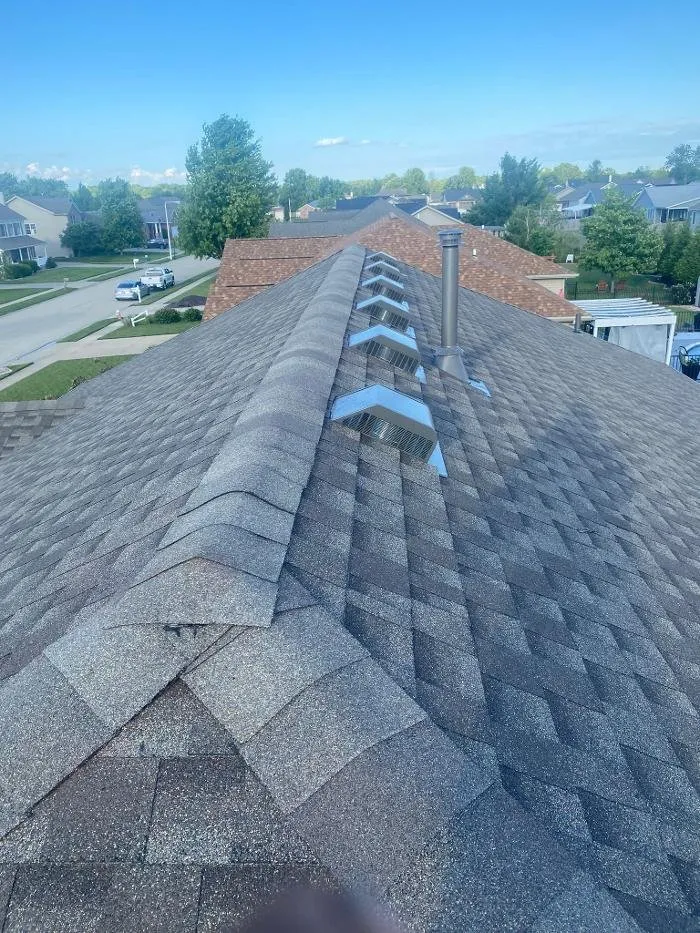 Slide of Paws Roofing Contractors