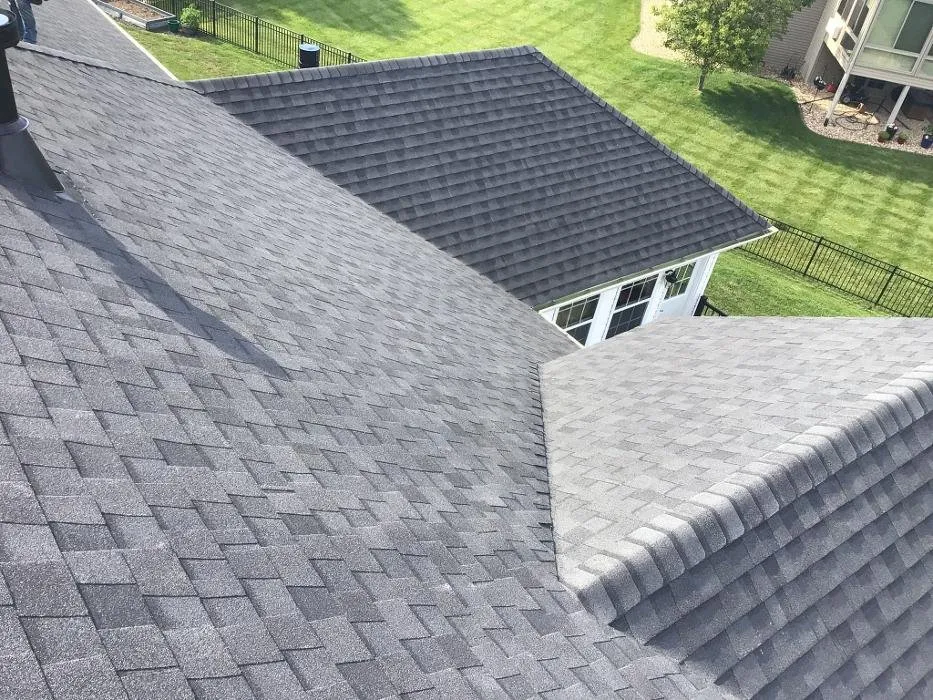 Slide of Paws Roofing Contractors