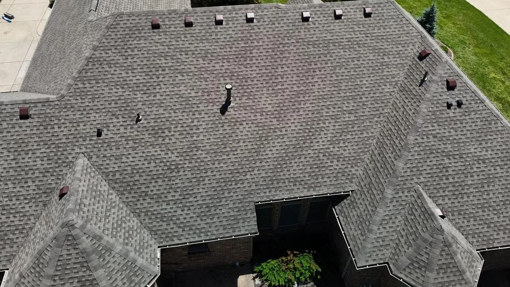 Slide of Paws Roofing Contractors