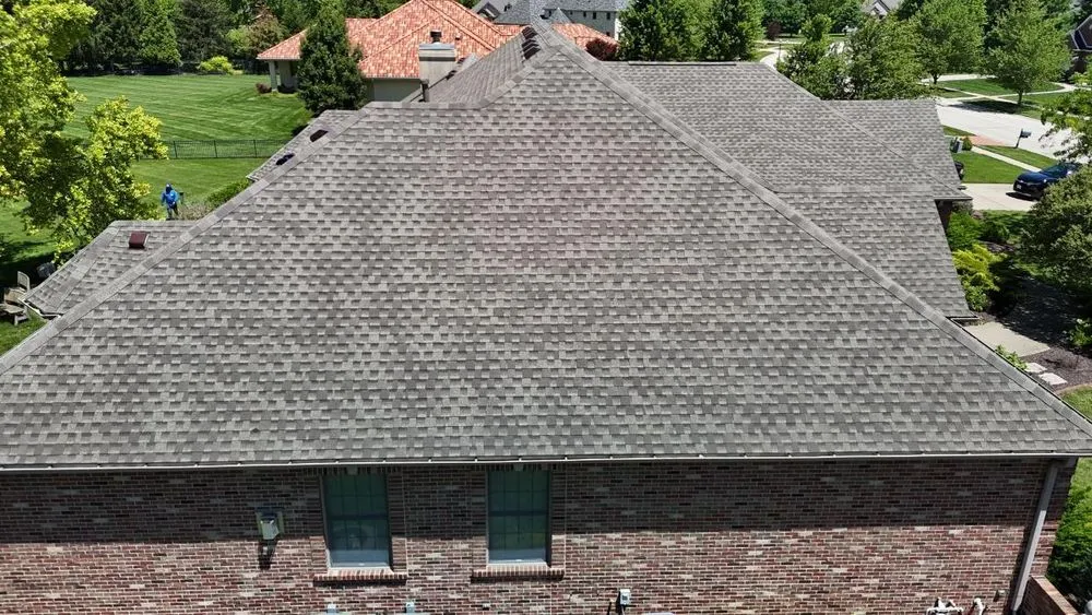 Slide of Paws Roofing Contractors