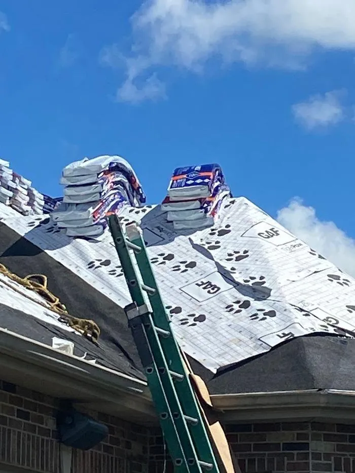 Slide of Paws Roofing Contractors