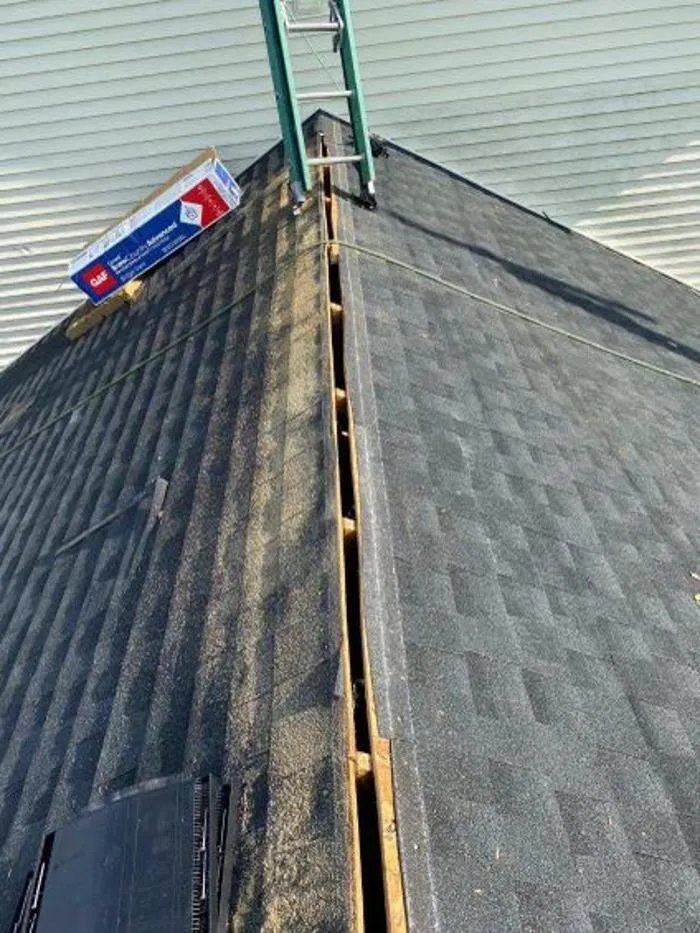 Slide of Paws Roofing Contractors