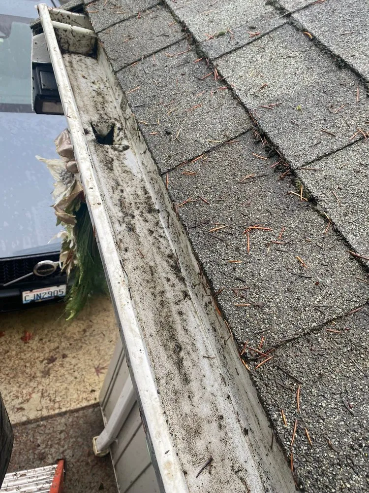 Slide of Paz Gutters