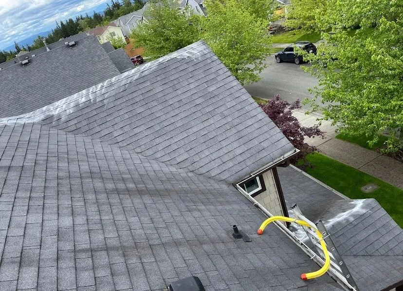 Slide of Paz Gutters