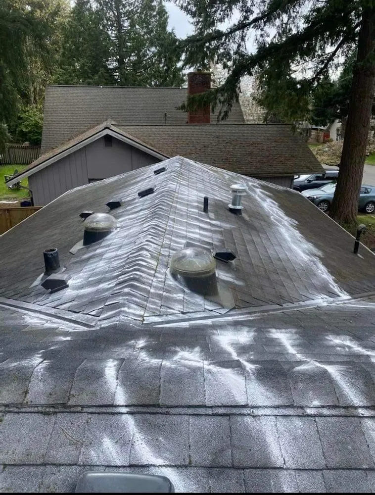 Slide of Paz Gutters