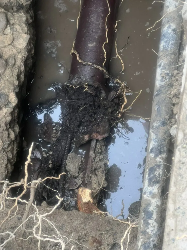 Slide of PBR Drain and Excavation