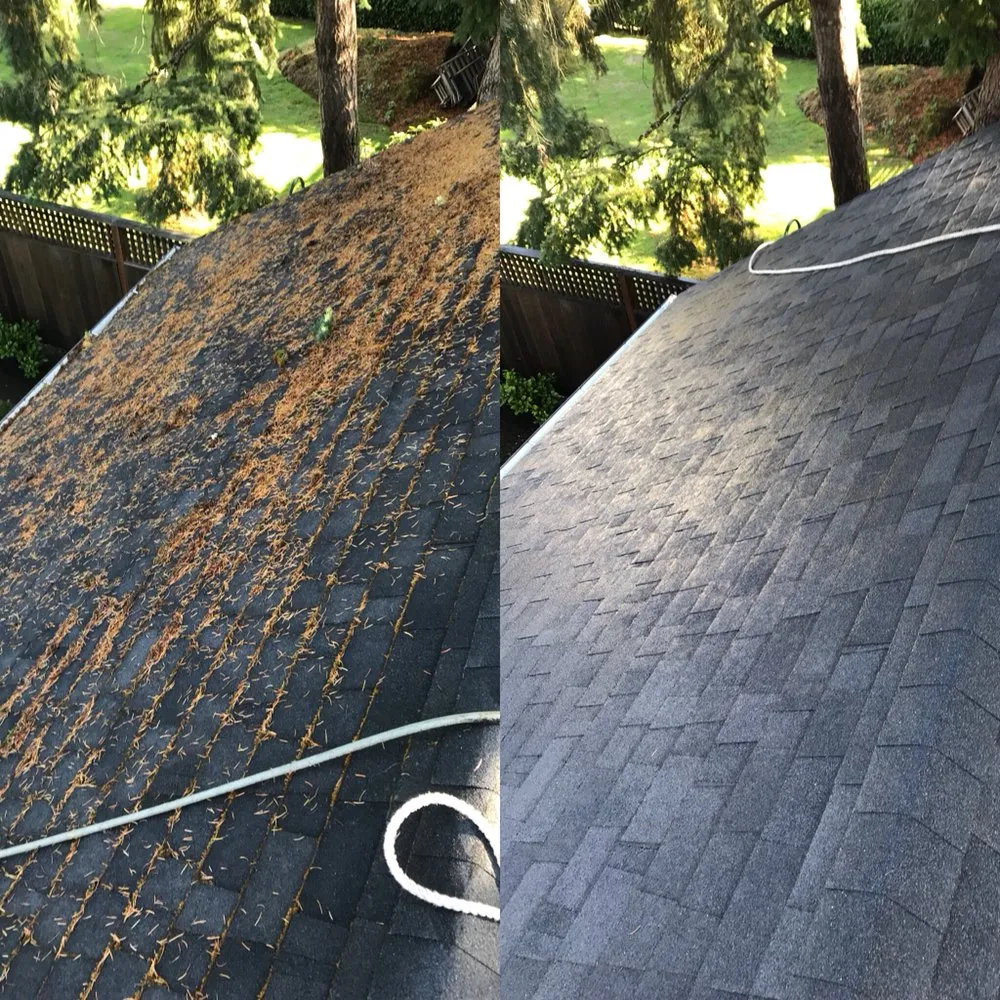 Slide of PDX Roof Care