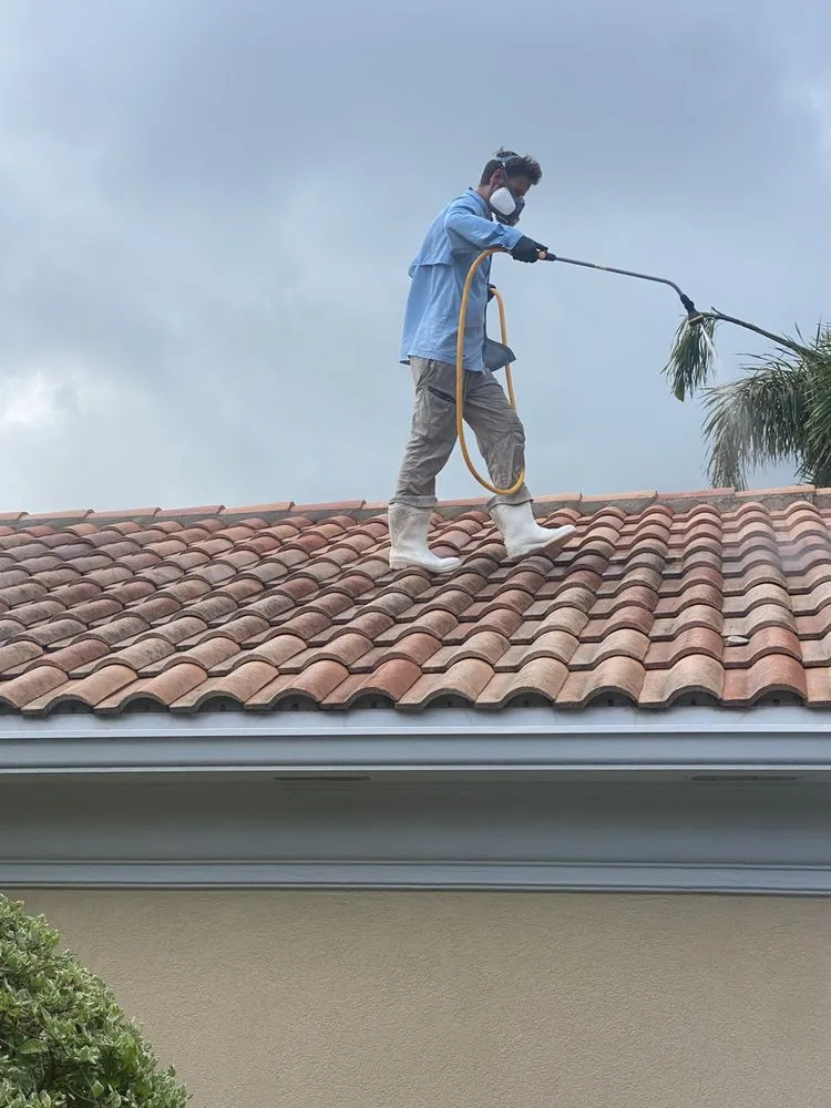 Slide of Peacock Window Cleaning & Pressure Cleaning