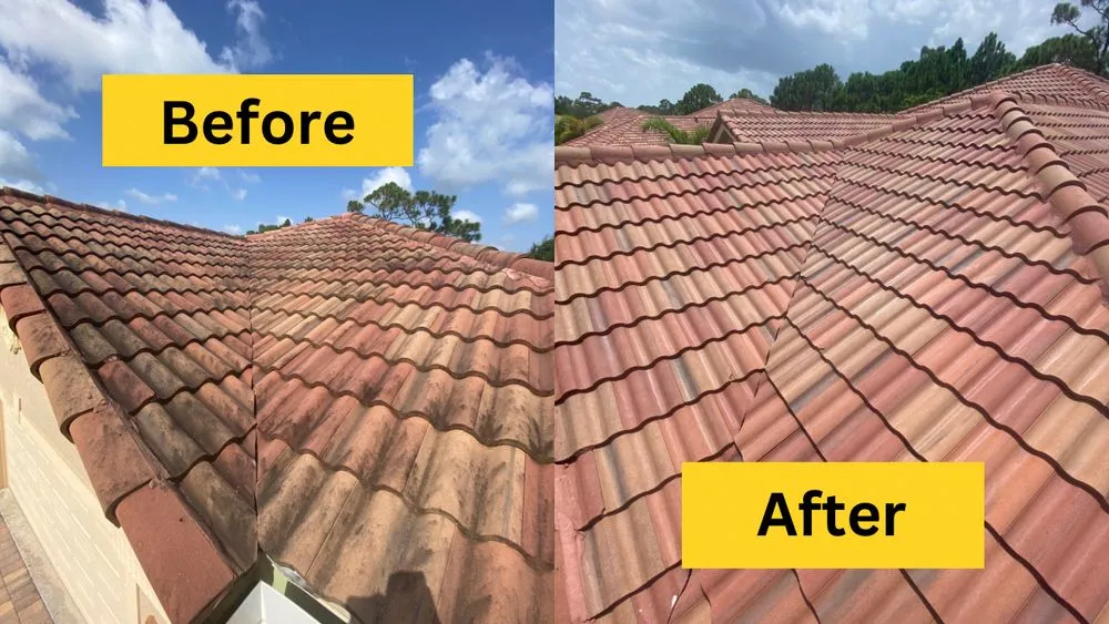 Slide of Peacock Window Cleaning & Pressure Cleaning