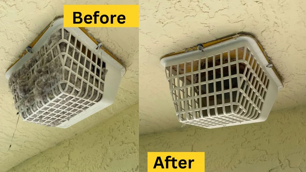 Slide of Peacock Window Cleaning & Pressure Cleaning